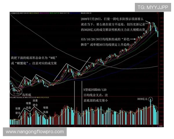深度解析本赛季重要体育赛事胜负走势与趋势